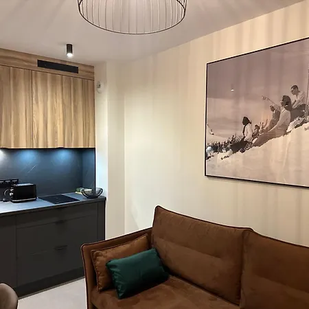 Apartamenty Czarne Owce Schreiberhau Exterior foto