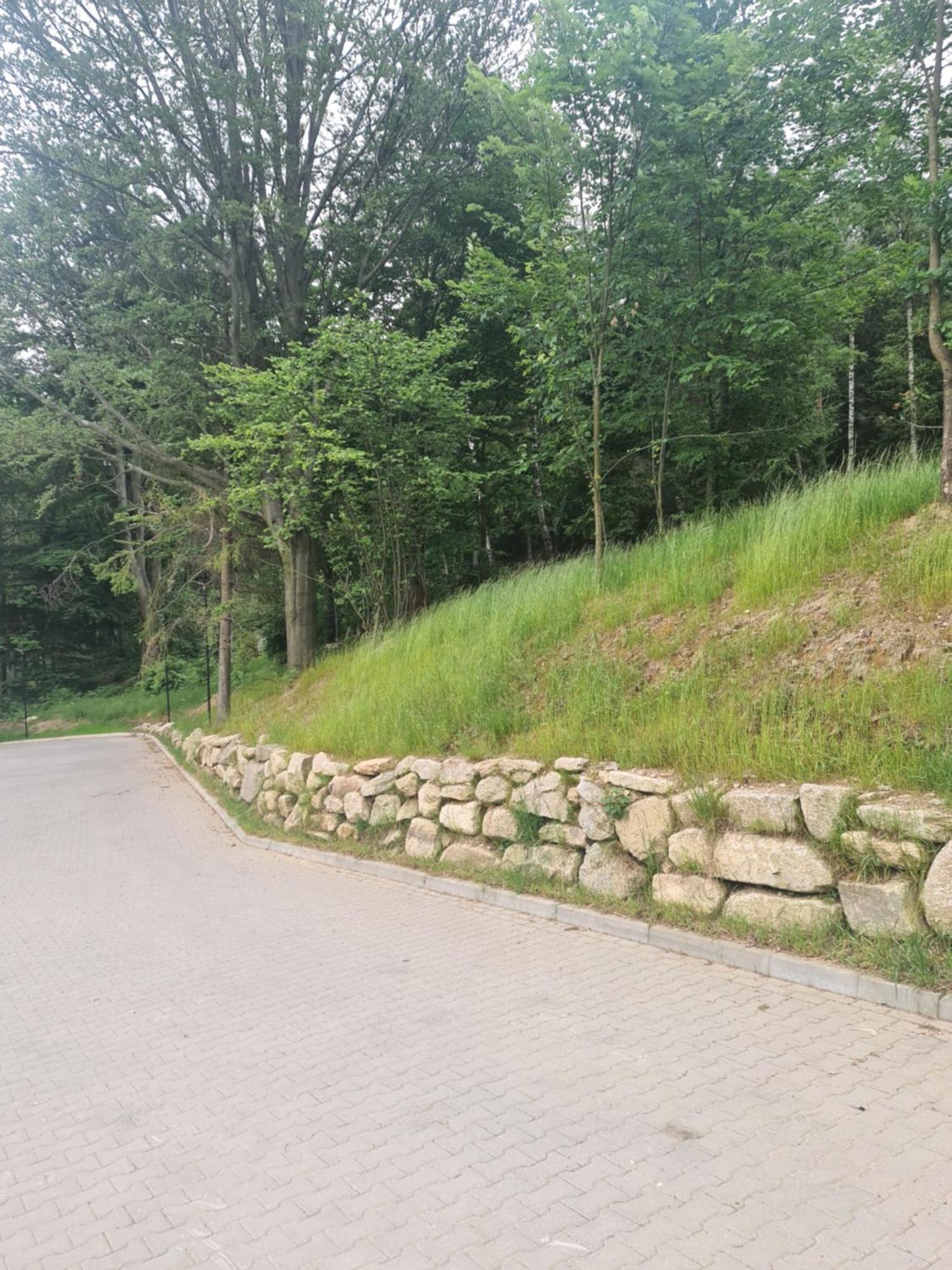 Czarne Owce * Schreiberhau